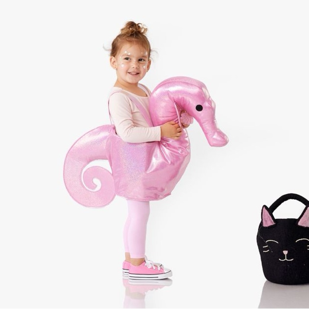 Pottery barn seahorse costume